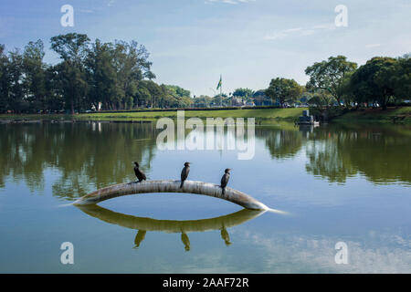 Szenen aus dem Ibirapuera Park in der Stadt São Paulo, Brasilien Stockfoto