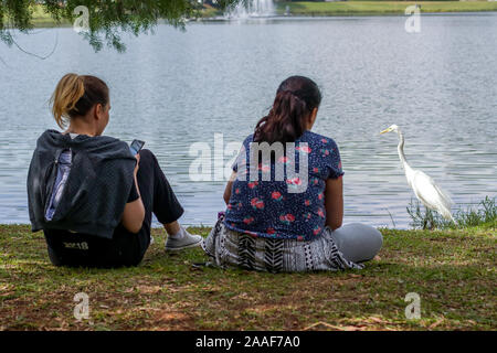 Szenen aus dem Ibirapuera Park in der Stadt São Paulo, Brasilien Stockfoto