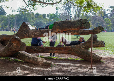 Szenen aus dem Ibirapuera Park in der Stadt São Paulo, Brasilien Stockfoto