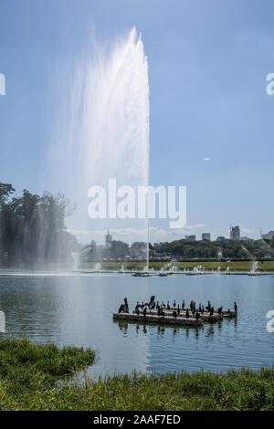 Szenen aus dem Ibirapuera Park in der Stadt São Paulo, Brasilien Stockfoto