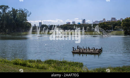 Szenen aus dem Ibirapuera Park in der Stadt São Paulo, Brasilien Stockfoto