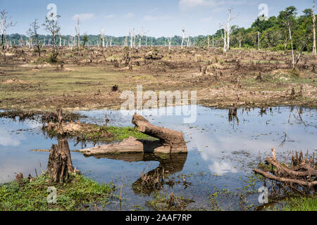 See um Tempel Jayatataka, Siem Reap, Kambodscha, Asien Stockfoto