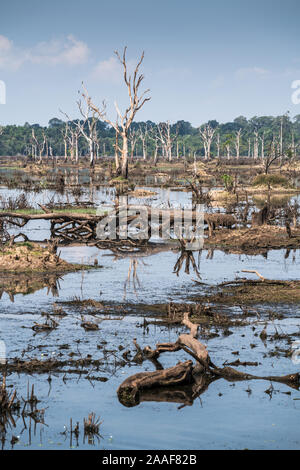 See um Tempel Jayatataka, Siem Reap, Kambodscha, Asien Stockfoto