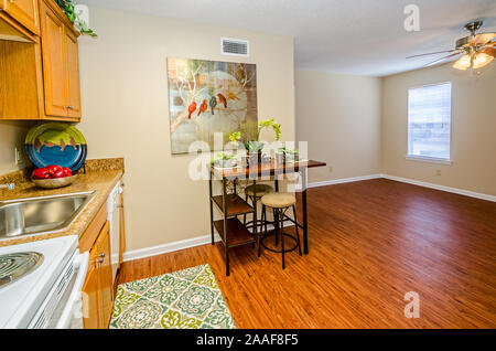 Eine Wohnküche und Wohnzimmer leer wird dargestellt auf Robinwood Apartments in Mobile, Alabama. Stockfoto