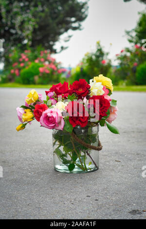 Blumenstrauß aus bunten Rosen Stockfoto