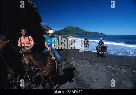 Kodiak, uns, das Pferd (Equus ferus Caballus) ist eine der beiden bestehenden Unterarten von Equus ferus. Es ist ein seltsam-toed ungulate Säugetier vom taxono Stockfoto