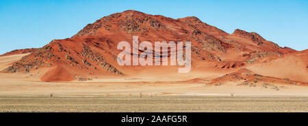 Rote Sanddünen im Deadvlei, Sossusvlei, Namib-Naukluft-Nationalpark, Namibia, Afrika Stockfoto