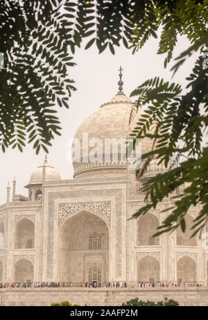 Taj Mahal, Agra, Uttar Pradesh, Indien Stockfoto