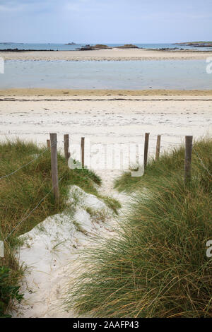 Dünen Sainte-Marguerite, Plouguerneau, Landeda, Finistère, Bretagne, Frankreich, Europa. Foto V.D. Stockfoto