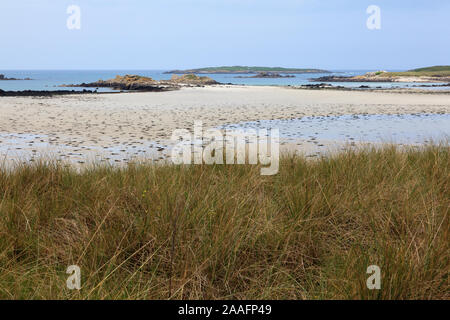 Dünen Sainte-Marguerite, Plouguerneau, Landeda, Finistère, Bretagne, Frankreich, Europa. Foto V.D. Stockfoto