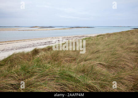 Dünen Sainte-Marguerite, Plouguerneau, Landeda, Finistère, Bretagne, Frankreich, Europa. Foto V.D. Stockfoto