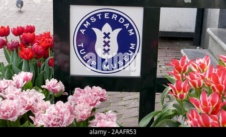 AMSTERDAM, NIEDERLANDE, 12. Oktober, 2017: Nahaufnahme eines tulip Museum anmelden Amsterdam Stockfoto