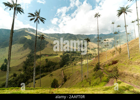 Panoramablick auf die cocora Tal in Salento Quindío, Kolumbien. Stockfoto