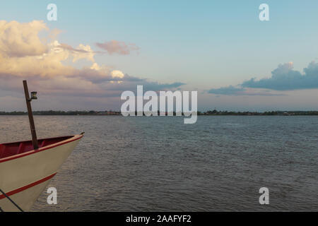 Vogel am Rande der Boot auf den Fluss Suriname, Südamerika Stockfoto