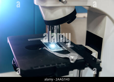 Wissenschaftliche oder medizinische Probe unter dem Lichtmikroskop im Labor, in der Nahaufnahme. Stockfoto