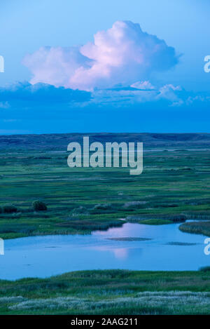 Buena Vista Teich, Malheur National Wildlife Refuge, Oregon. Stockfoto