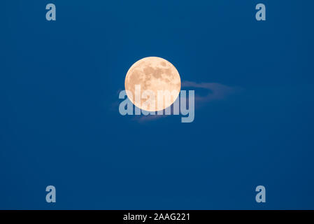 Vollmond. Stockfoto