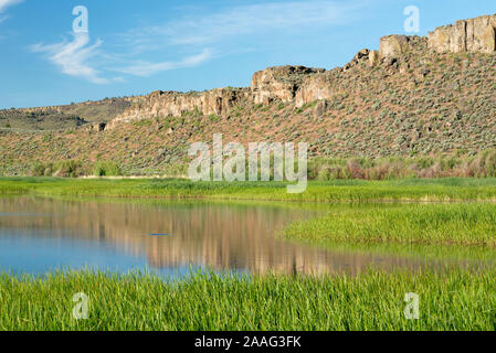 Buena Vista Teich, Malheur National Wildlife Refuge, Oregon. Stockfoto