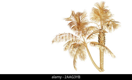 Goldene Palmen isoliert auf Weiss. 3D-Rendering Stockfoto