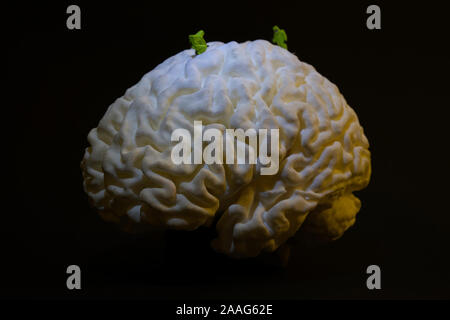 Spielzeugfiguren, die an einem 3D-gedruckten Gehirn arbeiten, das aus einem aa-MRT-Scan eines menschlichen Gehirns erstellt wurde Stockfoto