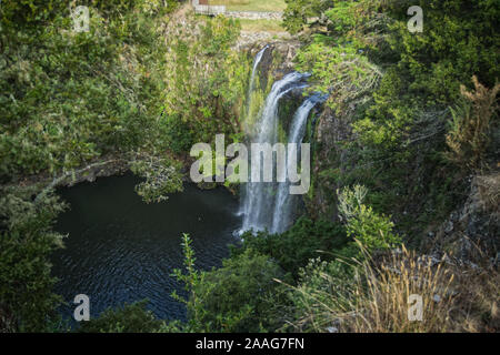 Whangarei Falls, Whangarei, Neuseeland Stockfoto