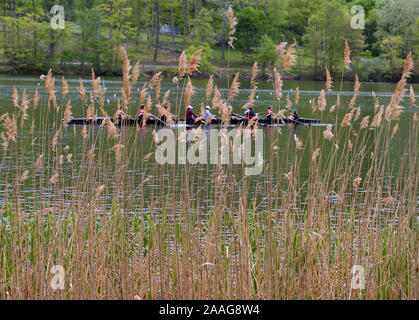 Neue Preston, CT USA. Mai 2016. Fluss Vegetation teilweise mit Crew Yacht auf dem Weg zur Regatta Gegner treffen. Stockfoto