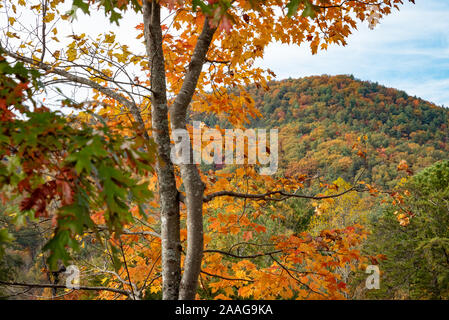 Herbst Blick auf den Chattahoochee National Forest in den Blue Ridge Mountains von Unicoi State Park Lodge in Helen, Georgia. (USA) Stockfoto