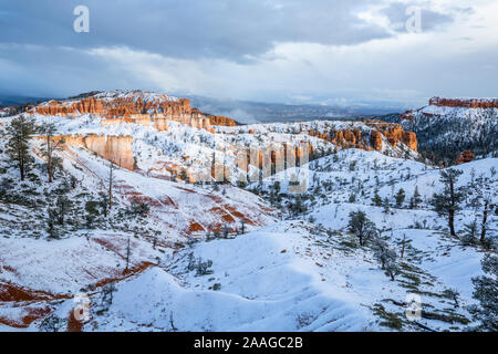 Winter Szene unter Red Rock Hoodoos des südlichen Utah oder Türmen, wie Sie mit frischem Schnee bedeckt sind. Stockfoto