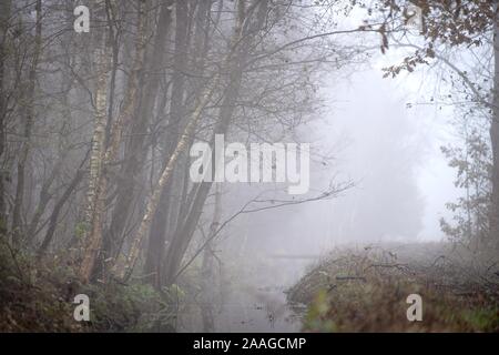 18 November 2019, Niedersachsen, Osterholz-Scharmbeck: Nebel verbreitet sich über die ahrensfelder Moor. Seit Jahrhunderten wird die "Aufarbeitung" der Mauren wurde als eine Tugend. Heute ist klar, dass die Zerstörung von Mooren nicht nur viele Tier- und Pflanzenarten, aber auch große Mengen von Treibhausgasen in die Atmosphäre. Die Wiedervernässung von Mooren und alternative Formen der landwirtschaftlichen Nutzung dienen dem Klimaschutz - auch in Niedersachsen. (Dpa' Wasser produziert werden muss - Klimaschutz durch Moor Benetzung anstelle der Entwässerung") Foto: Sina Schuldt/dpa Stockfoto