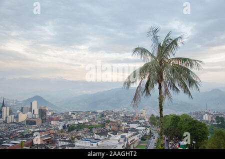 Luftaufnahme von Manizales, Kolumbien, mit einer Palme Stockfoto