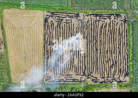 Oberhalb von Brennendem Zuckerrohr in der Plantage zu Ernten mit Landschaft Stockfoto