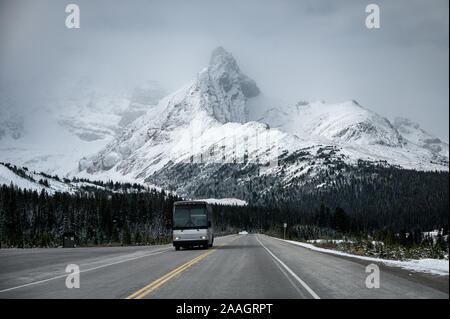 Bus fahren auf asphaltierten Straße mit großer Snow Mountain Hintergrund am Icefields Parkway Stockfoto