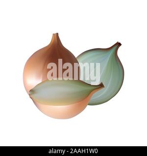 Zwiebel halbe und ganze. Das gesunde Essen. Weißer Hintergrund. Vector Illustration. Stock Vektor