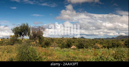 Äthiopien, South Omo, Turmi, Dimeka, traditionellen Holz und Lehm Haus unter landwirtschaftlichen Flächen, Panoramablick Stockfoto