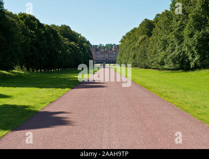 Von Bäumen gesäumten Auffahrt zum drumlanrig Castle. Auch lokal als das Pink Palace bekannt. Dumfries und Galloway, Schottland Stockfoto