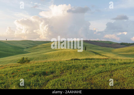 Wunderschöne Landschaft Landschaften in der Toskana mit sanften Hügeln bei Sonnenuntergang Stockfoto