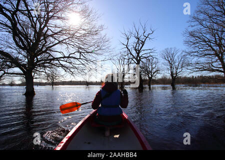 Fünfte Jahreszeit Kanufahrt in Soomaa Nationalpark, Frau auf Kanu mit Paddeln segeln in überschwemmten Frühlingswald, Estland Stockfoto