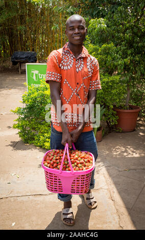 Mann hält einen Korb mit Erdbeeren außerhalb ein Hotel in Lilongwe, Malawi Stockfoto