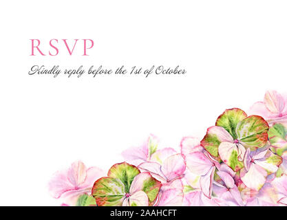 Aquarell Hortensia rsvp Karte Vorlage. Grosse detaillierte Hortensienblüten mit Pastell grüne Farbe. Hand floraler Abbildung auf weißem Hintergrund Stockfoto