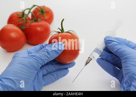Spritze und Tomaten. Die GVO-Spezialist spritzt Flüssigkeit aus einer Spritze in eine rote Tomate. Genetisch Ernährung Konzept modifiziert. Stockfoto