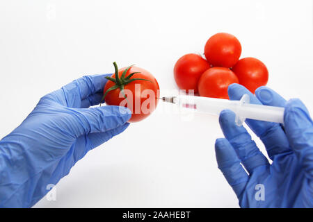 Spritze und Tomaten. Die GVO-Spezialist spritzt Flüssigkeit aus einer Spritze in eine rote Tomate. Genetisch Ernährung Konzept modifiziert. Stockfoto