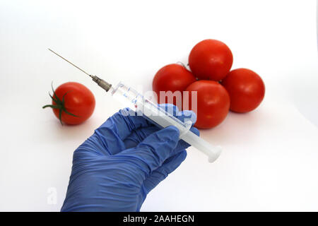Spritze und Tomaten. Die GVO-Spezialist spritzt Flüssigkeit aus einer Spritze in eine rote Tomate. Genetisch Ernährung Konzept modifiziert. Stockfoto