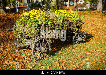 Alten hölzernen Schlitten verwandelt sich in einen Blumentopf, gefüllt mit Erde, die blühenden Blumen gewachsen sind, rustikalen dekoratives Element in einem Park. Stockfoto