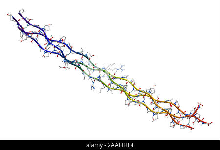 Humanes Kollagen Molekül (Segment) Stockfoto