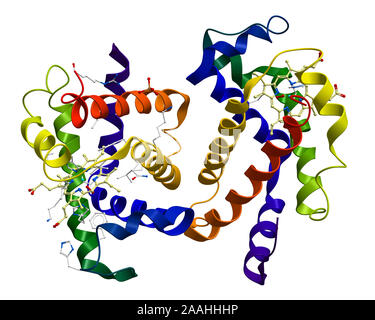 Menschliche Oxyhemoglobin Molekülstruktur Stockfoto
