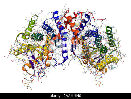 Rhodopsin (die extrem empfindlich auf Licht Pigment in Vision Prozess beteiligt) Proteinstruktur Stockfoto