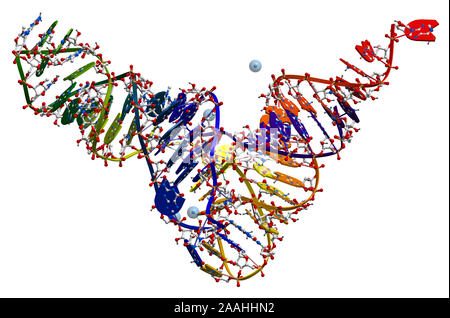 Transfer Ribonukleinsäure der Hefe. 3D-Struktur Stockfoto
