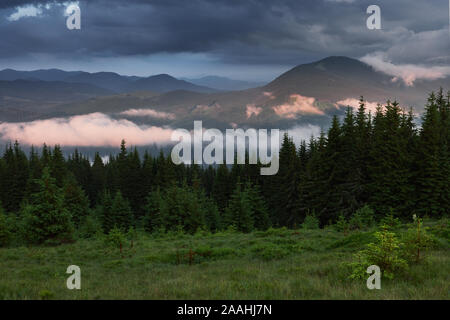 Farbige sunrise in den bewaldeten Berghang mit Nebel Stockfoto