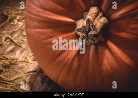 Nahaufnahme des Big Orange saisonalen Herbst Kürbis mit Stammzellen auf ländlichen natürliche Holz und Heu in der Landschaft - Begriff der traditionellen Halloween Feier Stockfoto