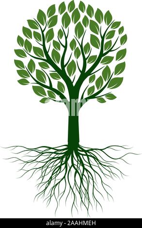 Grüner Baum mit Blättern und Wurzeln. Vektor Kontur Abbildung. Pflanze im Garten. Stock Vektor